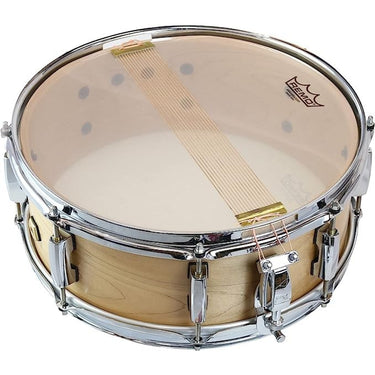 Parche Remo Wking Ambassador 14